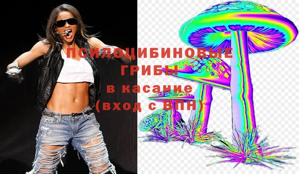 прущие грибы Арсеньев