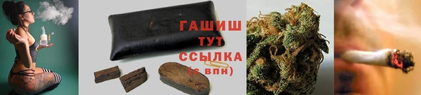 прущие грибы Арсеньев
