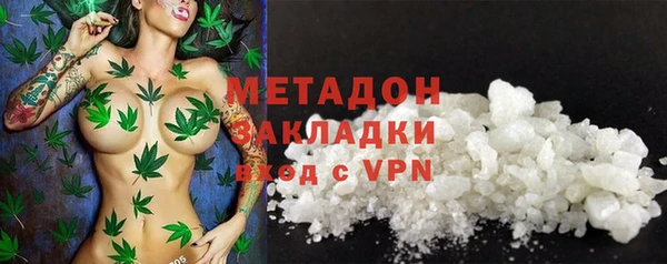 прущие грибы Арсеньев