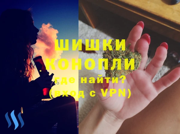 прущие грибы Арсеньев