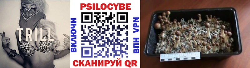 Псилоцибиновые грибы мухоморы Суровикино
